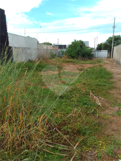 Foto REO964461