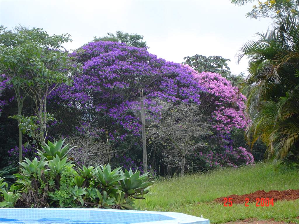 Venda Chácara São Roque Volta Grande (são João Novo) REO964663 15