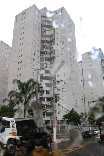 Foto REO965439