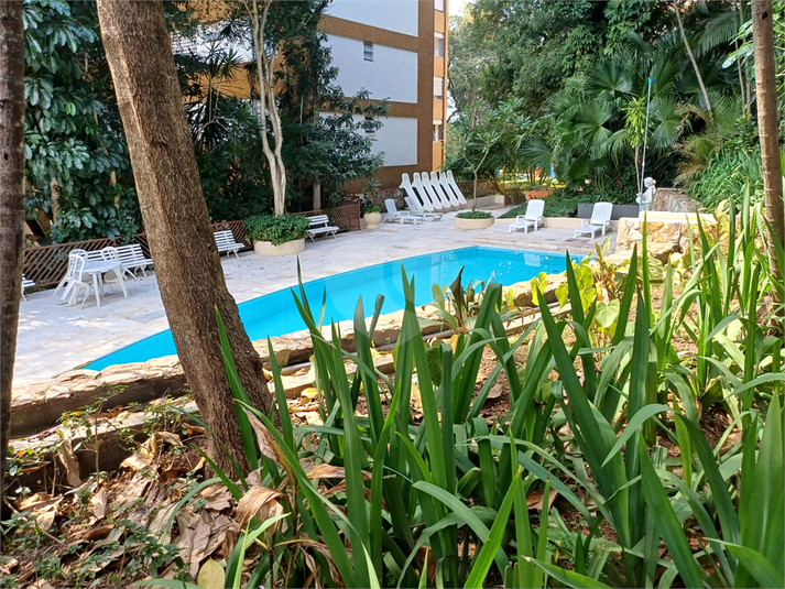 Foto REO965541