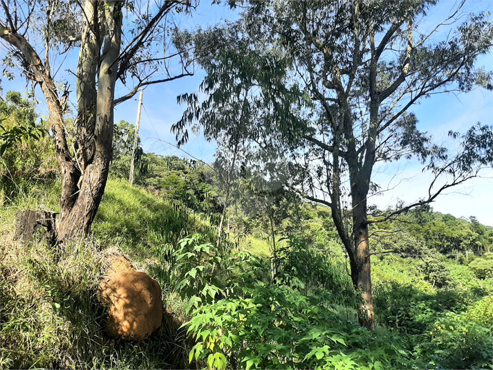 Venda Terreno Caieiras Santa Inês REO965603 1