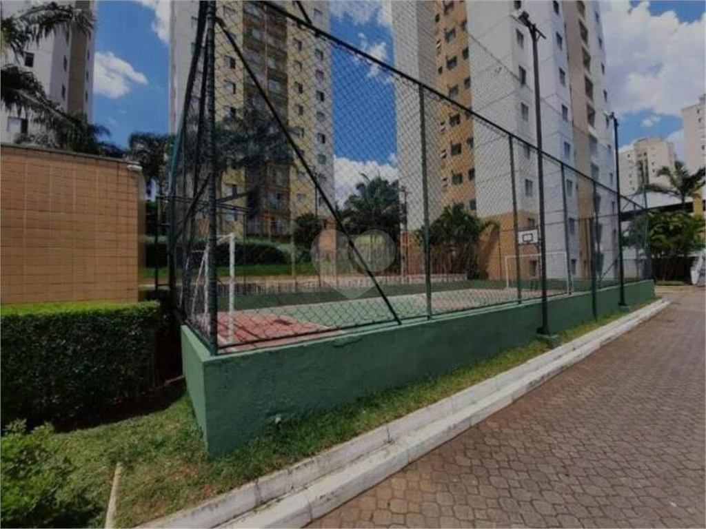 Venda Apartamento São Paulo Cidade Patriarca REO965606 29