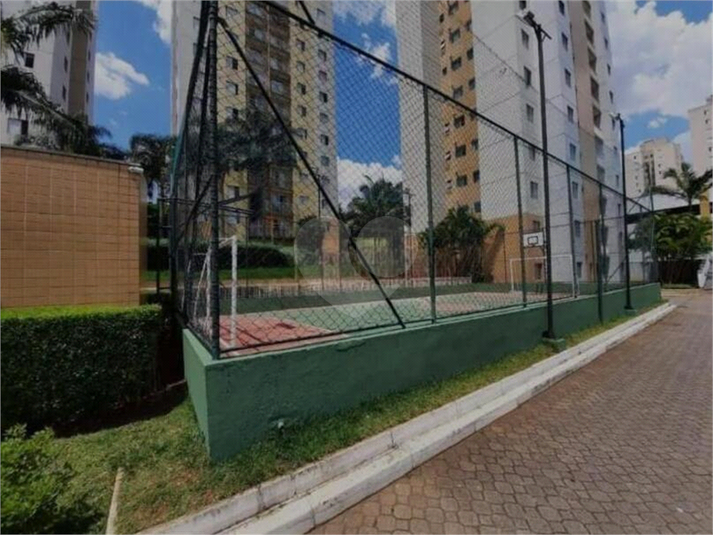 Venda Apartamento São Paulo Cidade Patriarca REO965608 28