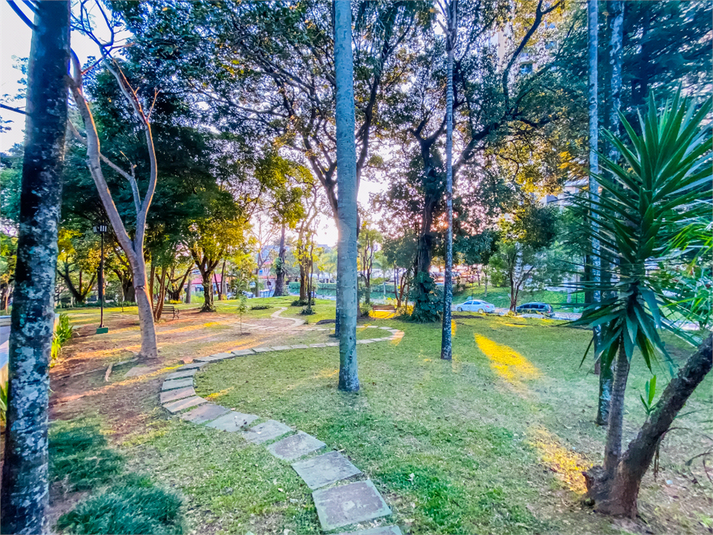 Foto REO96566