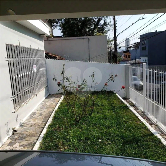 Foto REO965865