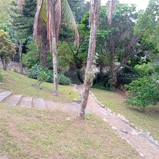 Foto REO967408