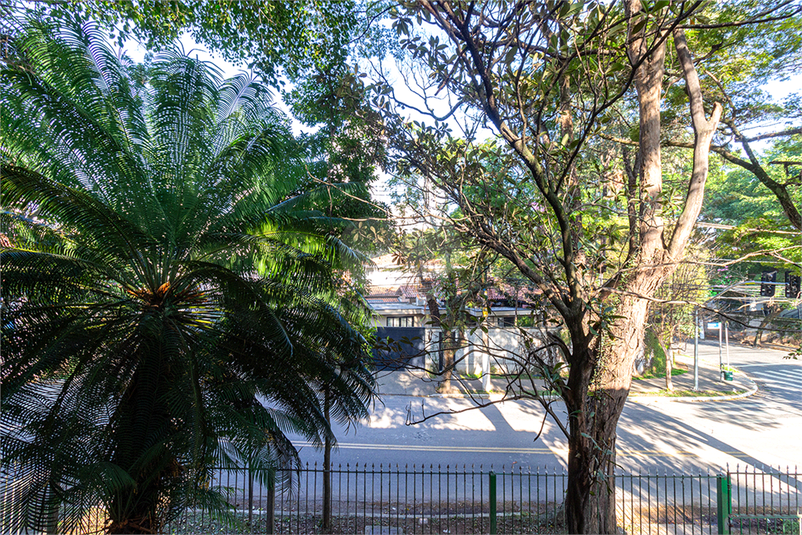 Foto REO967749