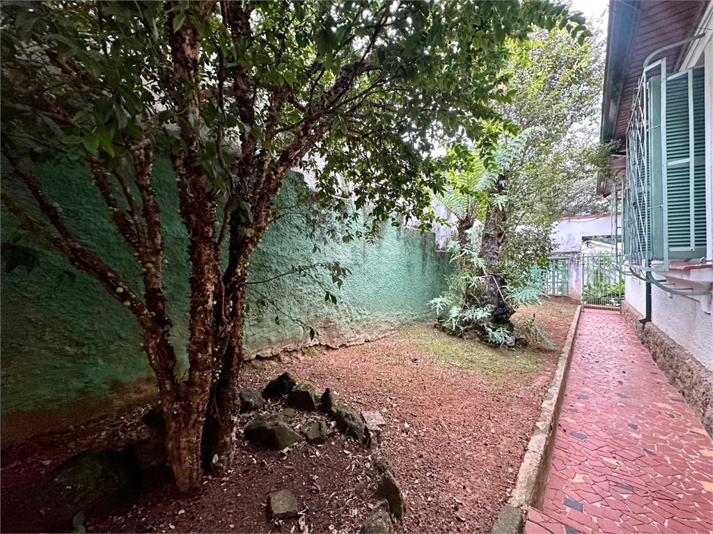 Venda Casa térrea São Paulo Vila Albertina REO967884 19