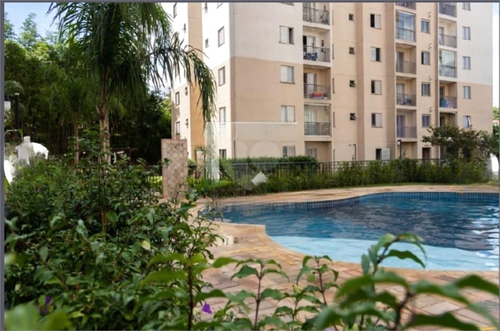 Venda Apartamento São Paulo Vila Liviero REO967967 1