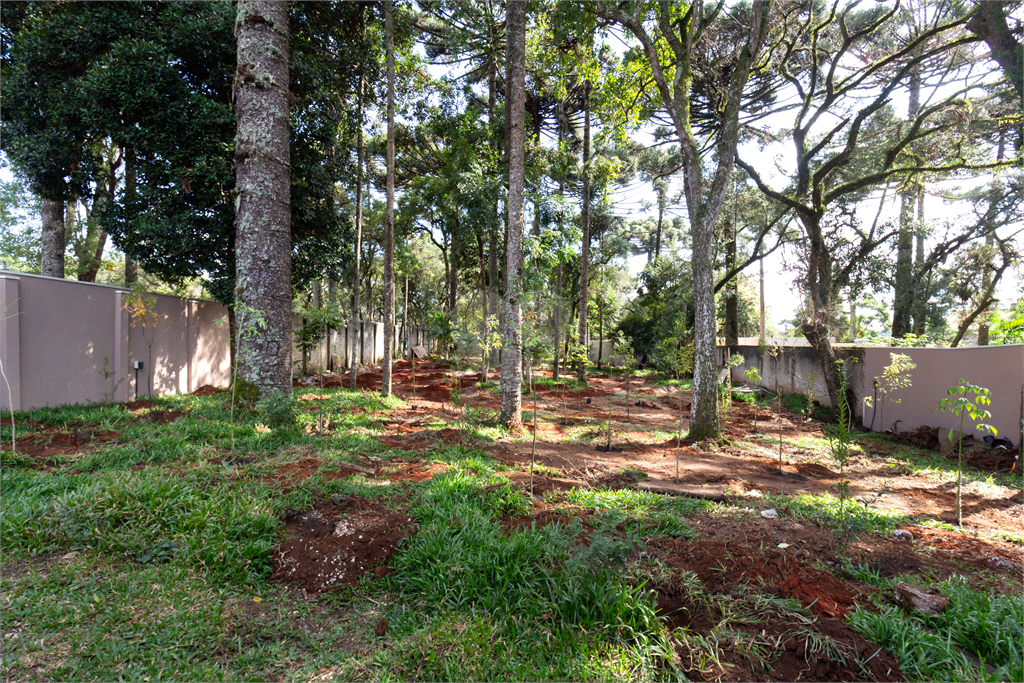 Venda Casa Curitiba Umbará REO967969 49