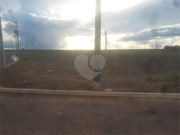 Foto REO968019