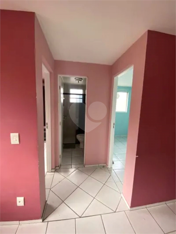 Venda Apartamento Curitiba Sítio Cercado REO968175 8