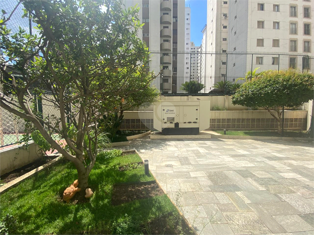 Aluguel Apartamento São Paulo Moema REO96860 42