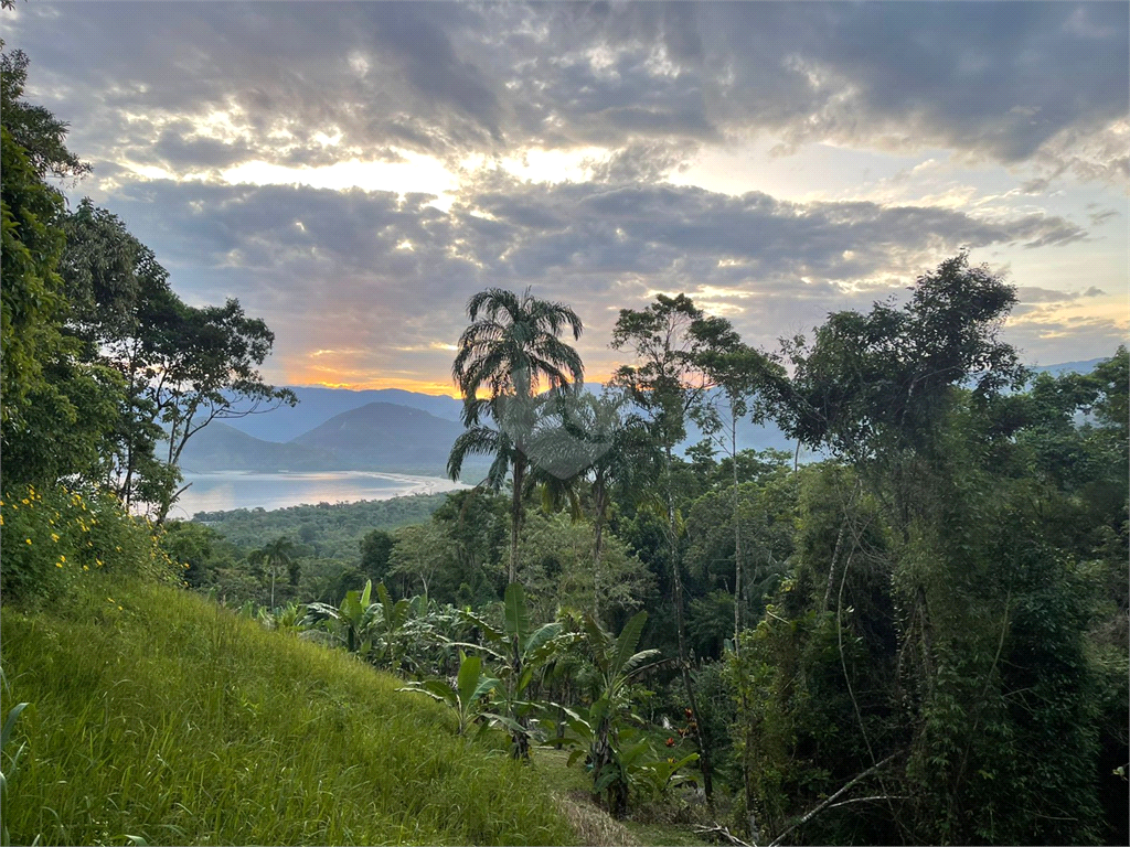 Venda Terreno Ubatuba Almada REO968633 11