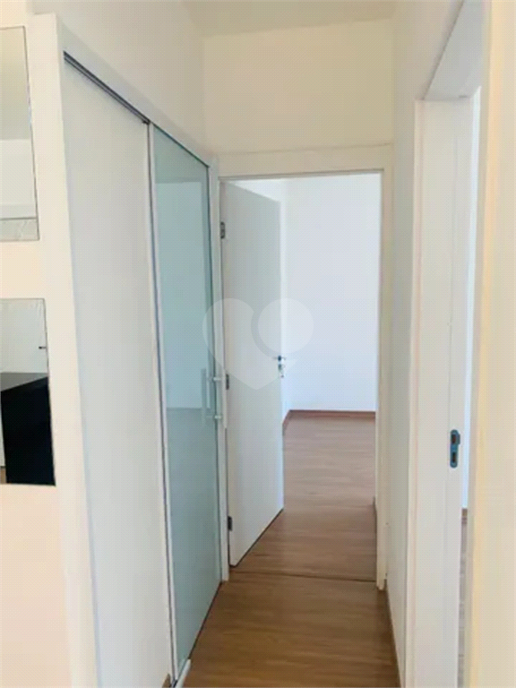 Aluguel Apartamento Sorocaba Boa Vista REO968666 6