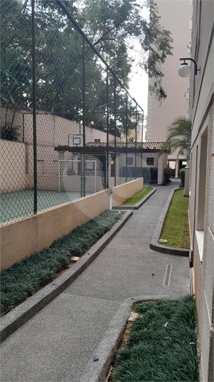 Foto REO969165