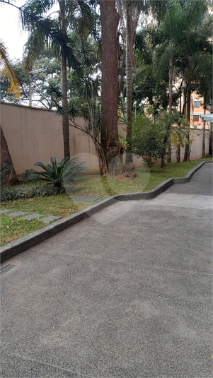 Foto REO969165
