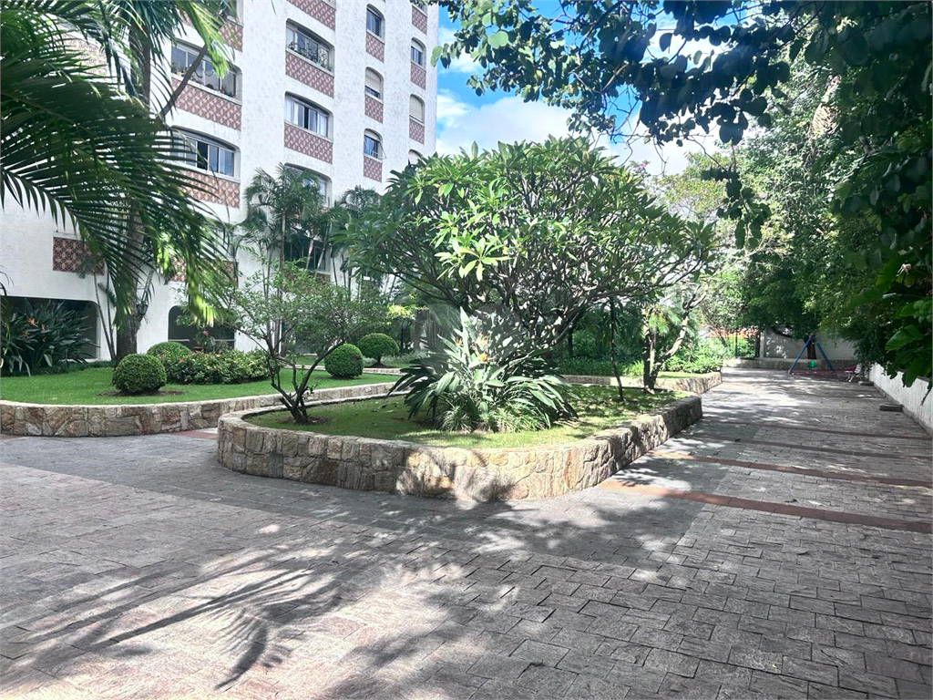 Venda Apartamento São Paulo Sumaré REO969200 50