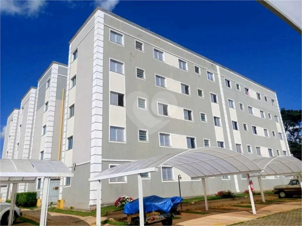 Aluguel Apartamento São Carlos Vila Irene REO969333 14