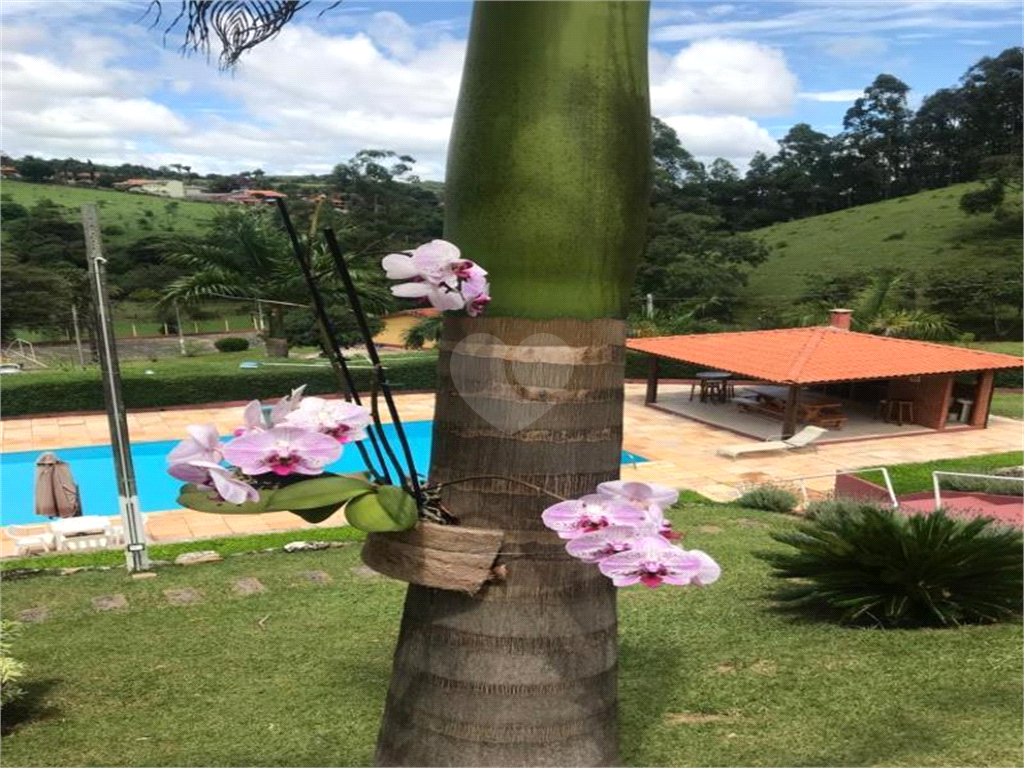 Venda Sítio Pinhalzinho Jardim Limão REO969580 53