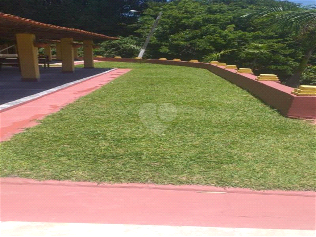 Venda Sítio Pinhalzinho Jardim Limão REO969580 57