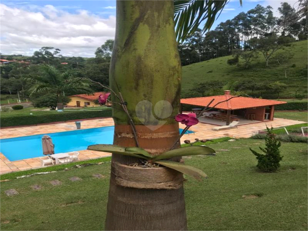 Venda Sítio Pinhalzinho Jardim Limão REO969580 52