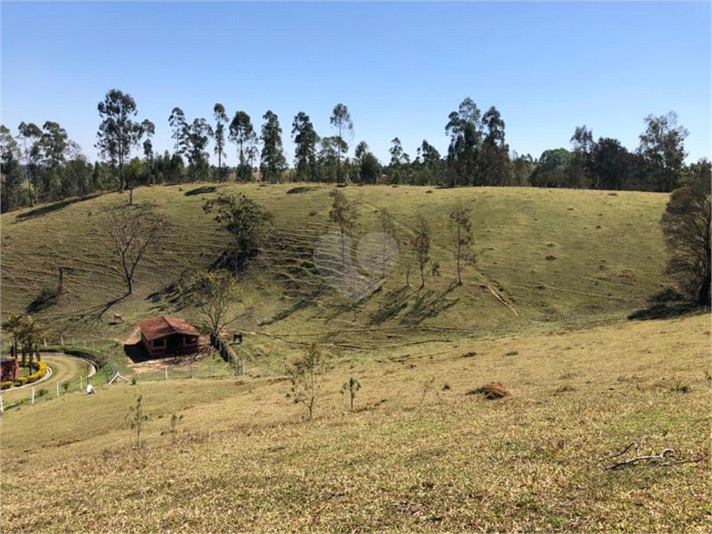 Venda Sítio Pinhalzinho Jardim Limão REO969580 26