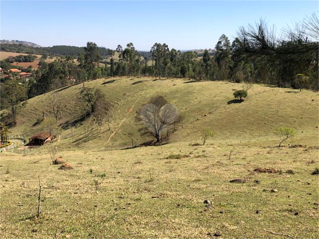 Venda Sítio Pinhalzinho Jardim Limão REO969580 24