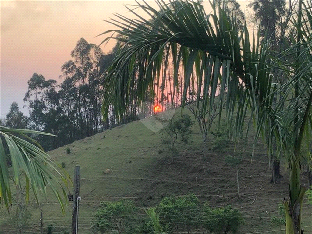 Venda Sítio Pinhalzinho Jardim Limão REO969580 72