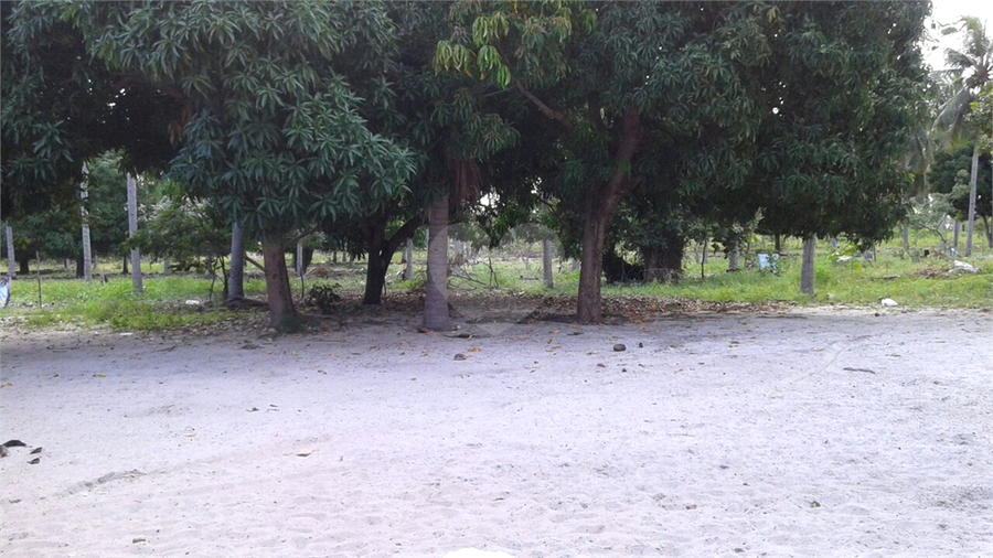 Foto REO969679