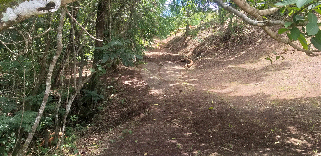 Venda Sítio Monte Sião Centro REO969792 13