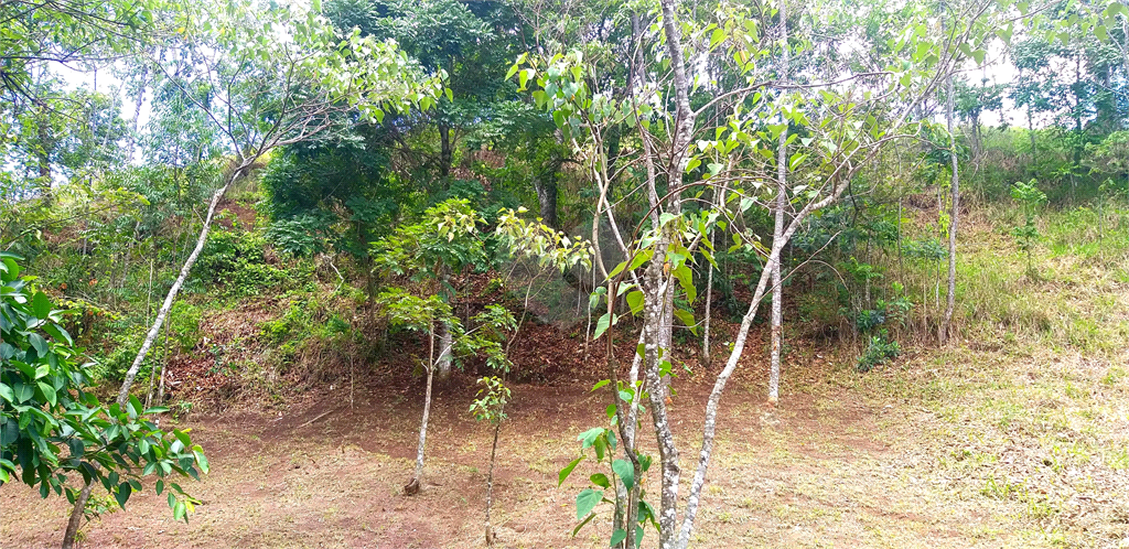 Venda Sítio Monte Sião Centro REO969792 5