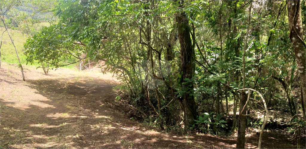 Venda Sítio Monte Sião Centro REO969792 11