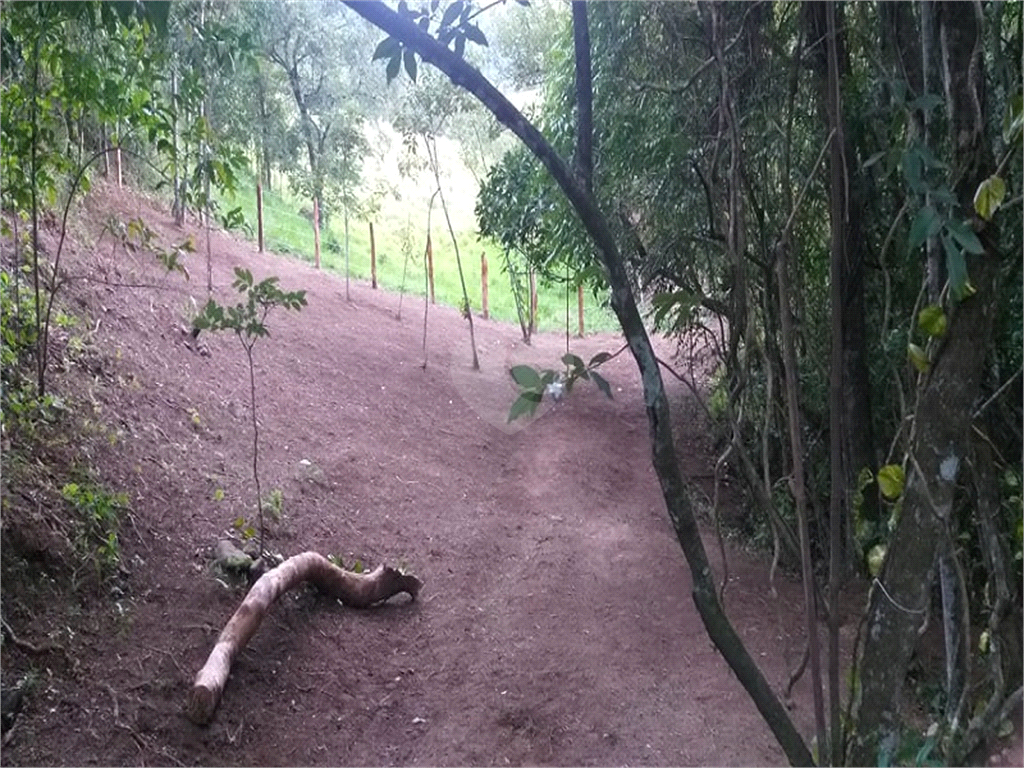 Venda Sítio Monte Sião Centro REO969792 4