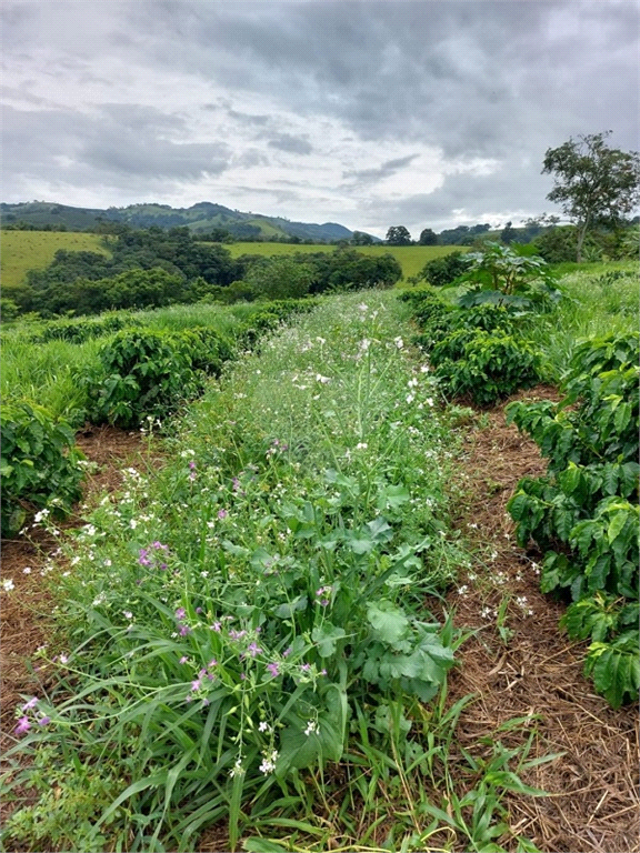 Venda Sítio Monte Sião Centro REO969823 3