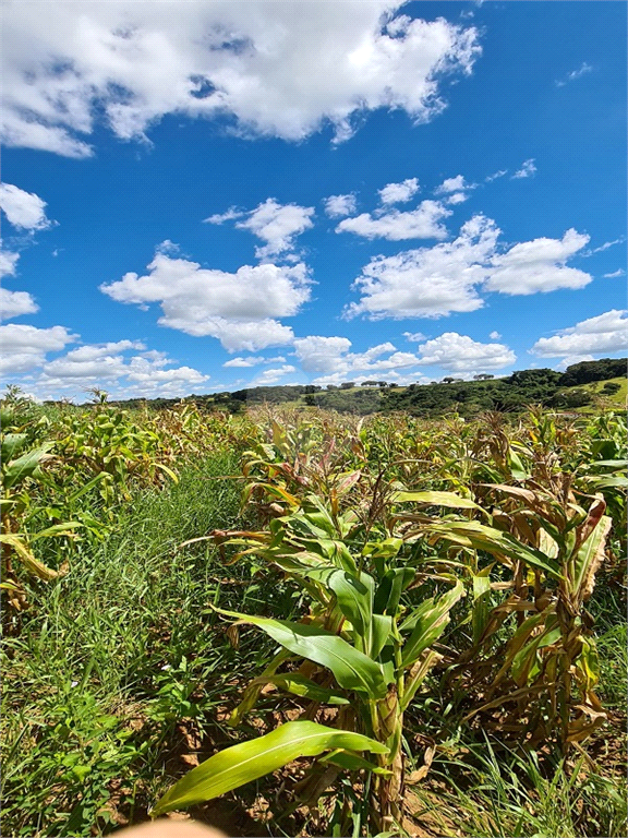 Venda Sítio Monte Sião Centro REO969823 8