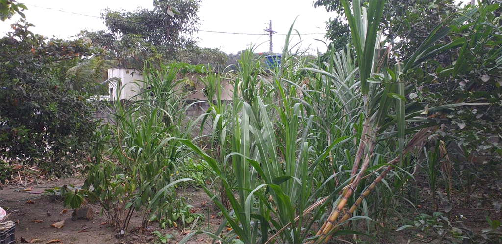 Venda Loteamento São Gonçalo Rio Do Ouro REO969898 17