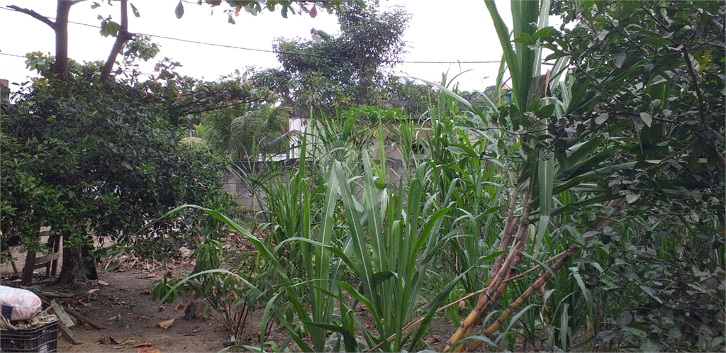 Venda Loteamento São Gonçalo Rio Do Ouro REO969898 18