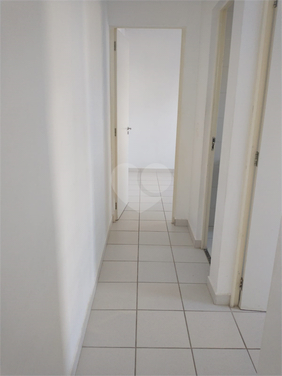 Venda Apartamento Valinhos Ortizes REO970547 16