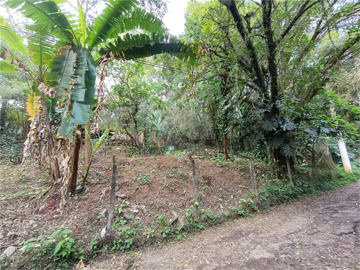 Venda Terreno São Paulo Vila Amélia REO971204 22