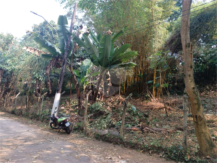 Venda Terreno São Paulo Vila Amélia REO971204 10