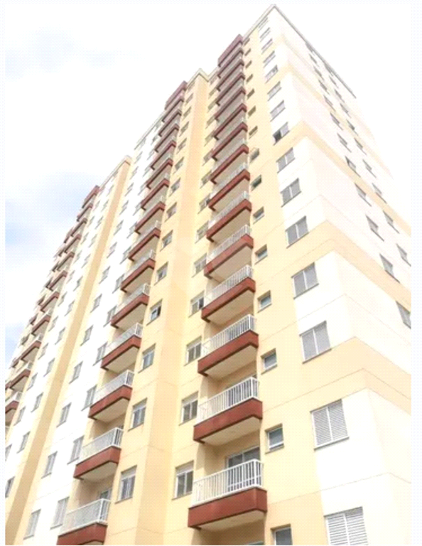 Venda Apartamento Limeira Chácara Antonieta REO971292 9