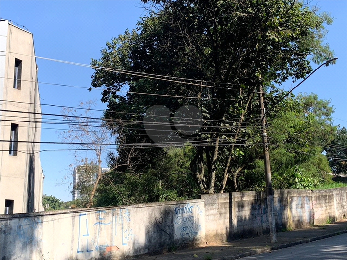 Foto REO971298