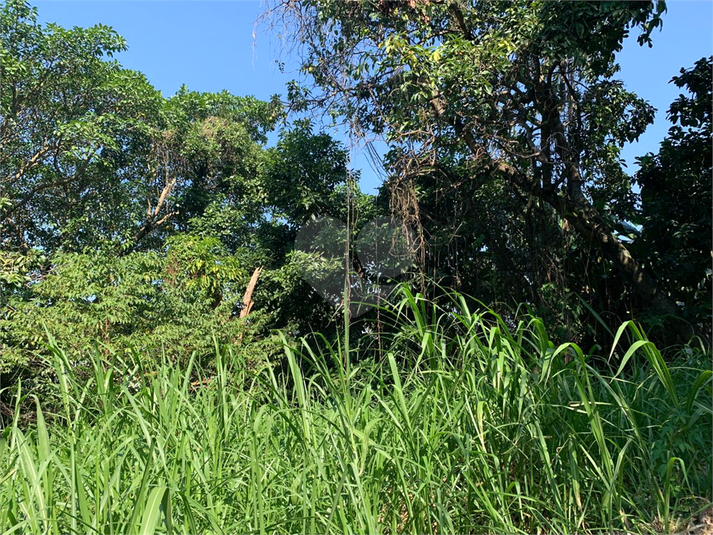 Venda Terreno São Paulo Vila Tramontano REO971298 10