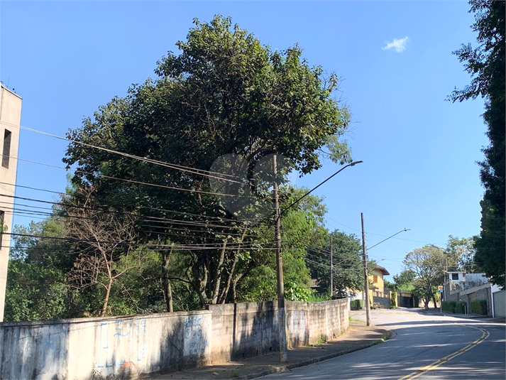 Foto REO971298