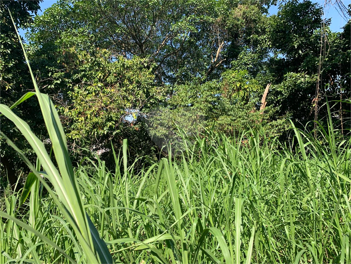 Venda Terreno São Paulo Vila Tramontano REO971298 13