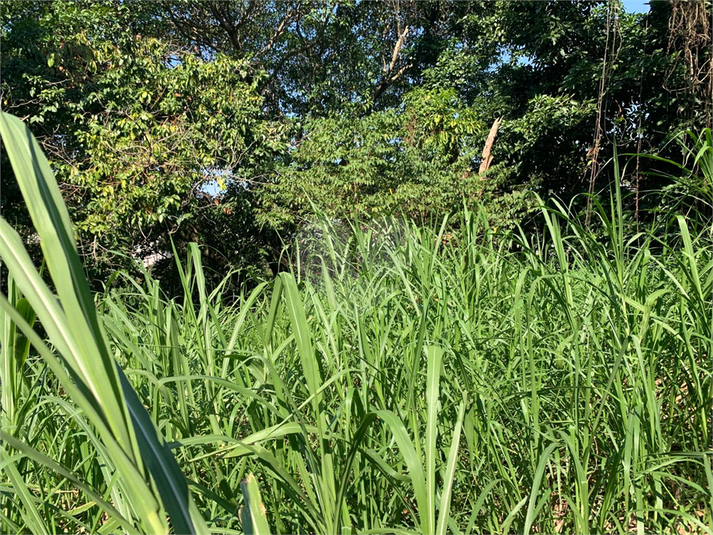 Venda Terreno São Paulo Vila Tramontano REO971298 12