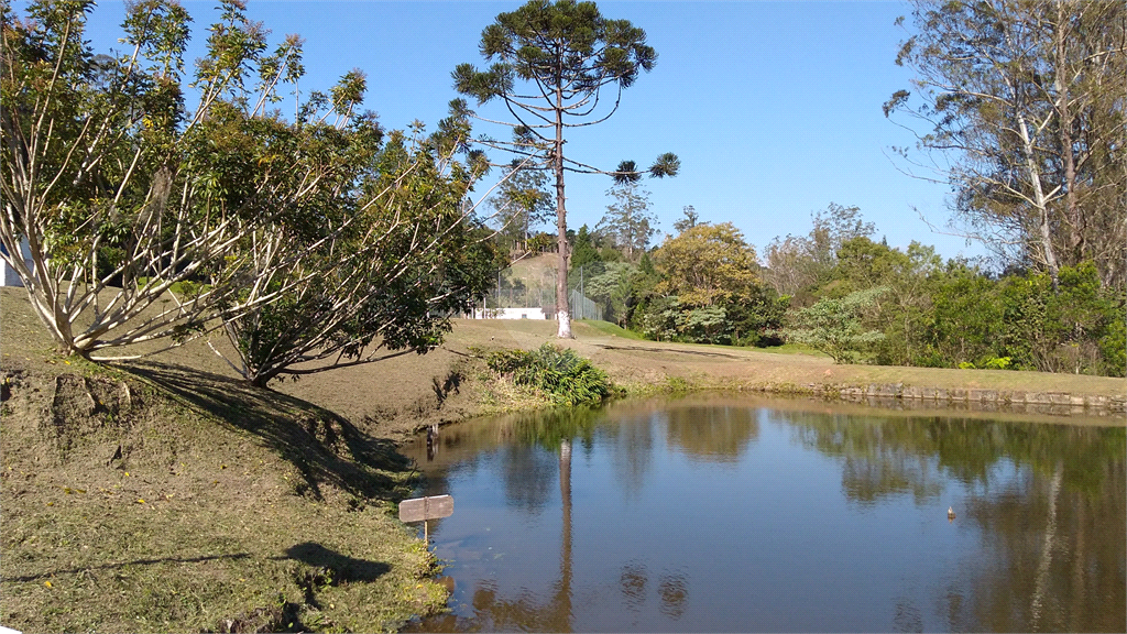 Venda Sítio São Lourenço Da Serra Centro REO971313 44