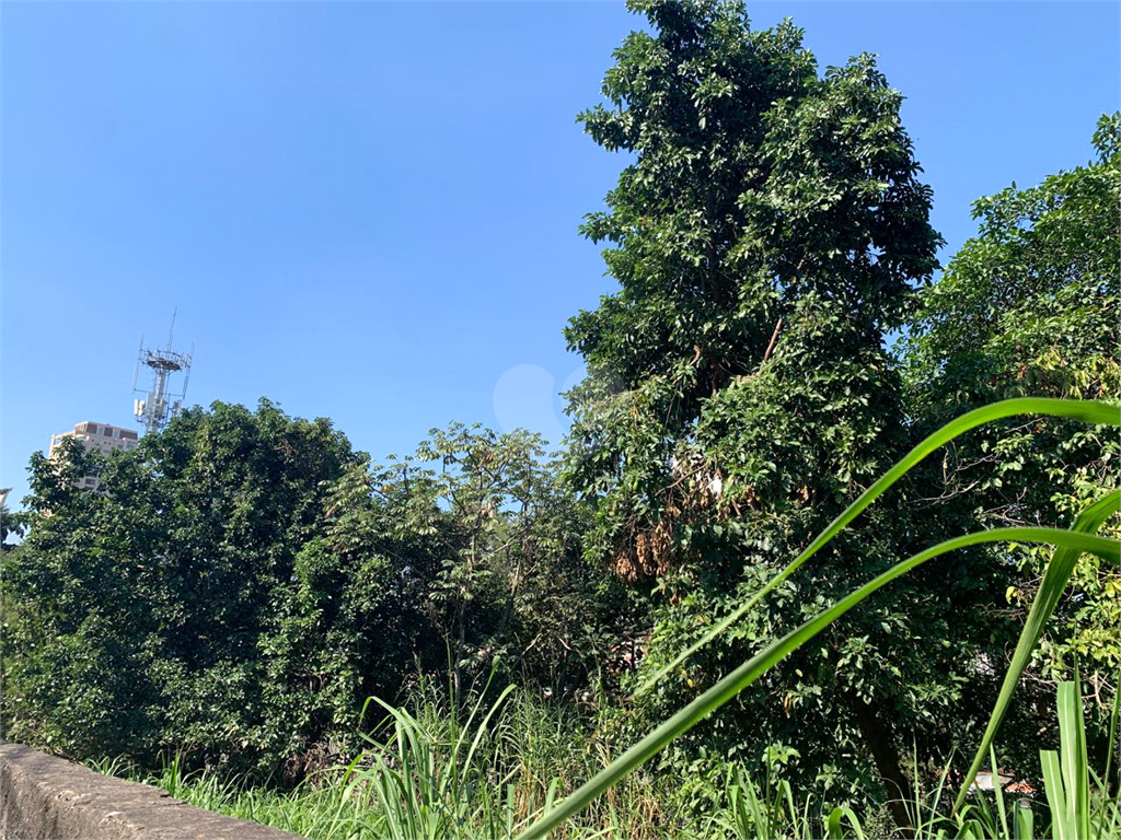 Venda Terreno São Paulo Vila Tramontano REO972323 7