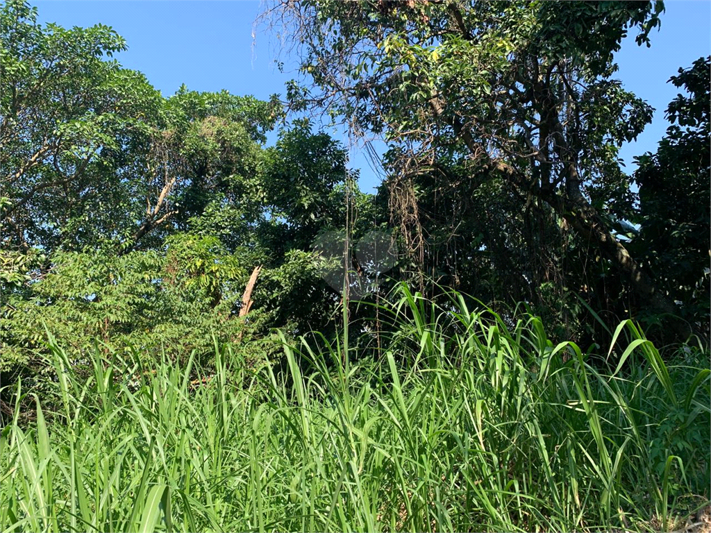 Venda Terreno São Paulo Vila Tramontano REO972323 8